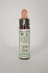 Wild Rose Bach Flower Remedy