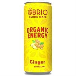 BRIO MATE Organic Energy Drink Ginger 250ml