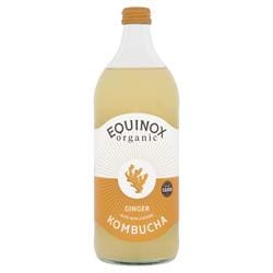 Equinox Organic Ginger Kombucha 750ml