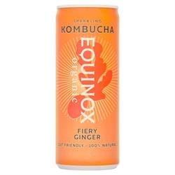 Organic Kombucha Soft Drink with Ginger 250ml can