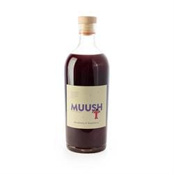Blueberry and Raspberry Functional Lion's Mane Elixir 700ml