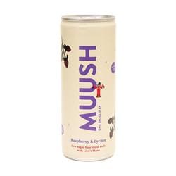 Raspberry and Lychee Functional Soda 250ml